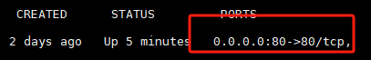 4565464656